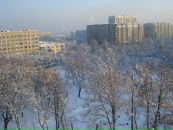 Фотография Василий Бобров