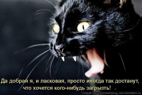 Мария Коцарева | 