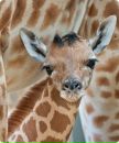 №13 Юлия Середа 23.08.1986: профиль, фото, статус - ВКонтакте
