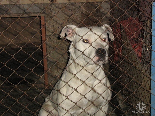 Վահան Zakaryan | Москва