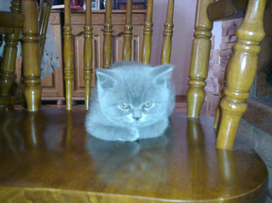 Оля Барсукова | 