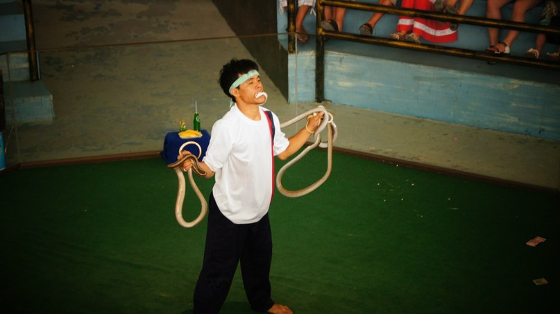 Татьяна Потапкина | 