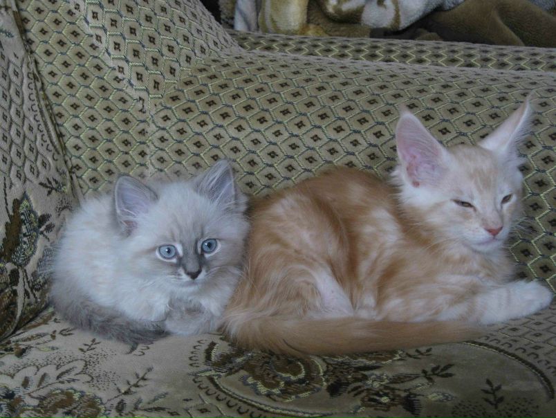 №40, Андрей Куприянов, Москва, Россия №40, Андрей Куприянов, Москва, Россия