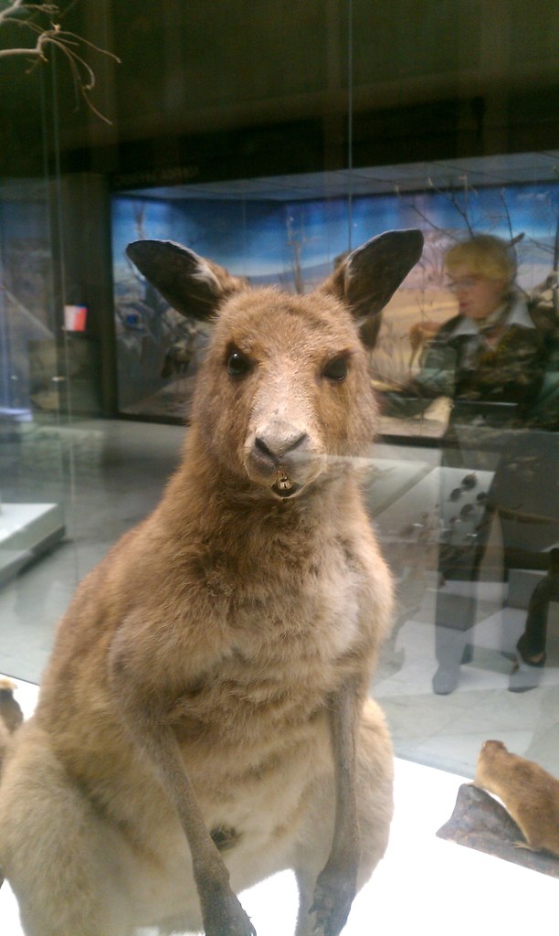 Анатолий Хорошилов | Москва