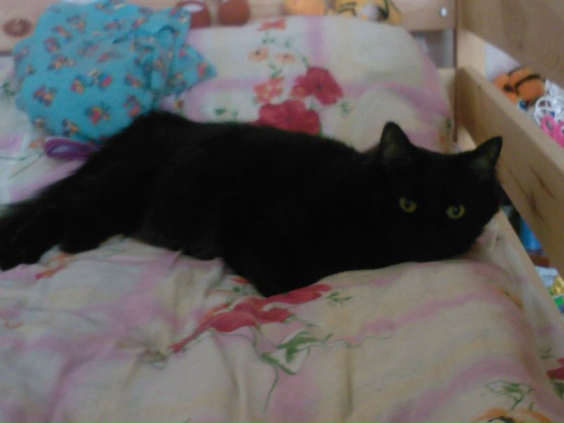 Анастасия Иванова | Санкт-Петербург