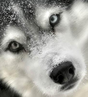 №2, Андрій Makaronnik, 39 лет, Луцк №2, Андрій Makaronnik, 39 лет, Луцк