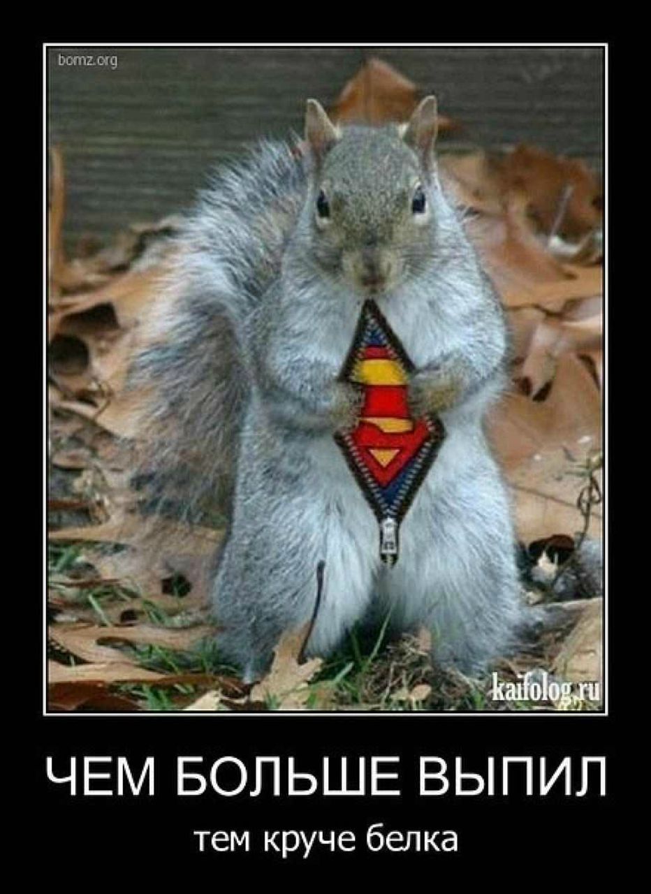 Максим Шулика ⏝⎠⎷⎛⎝ | Минск