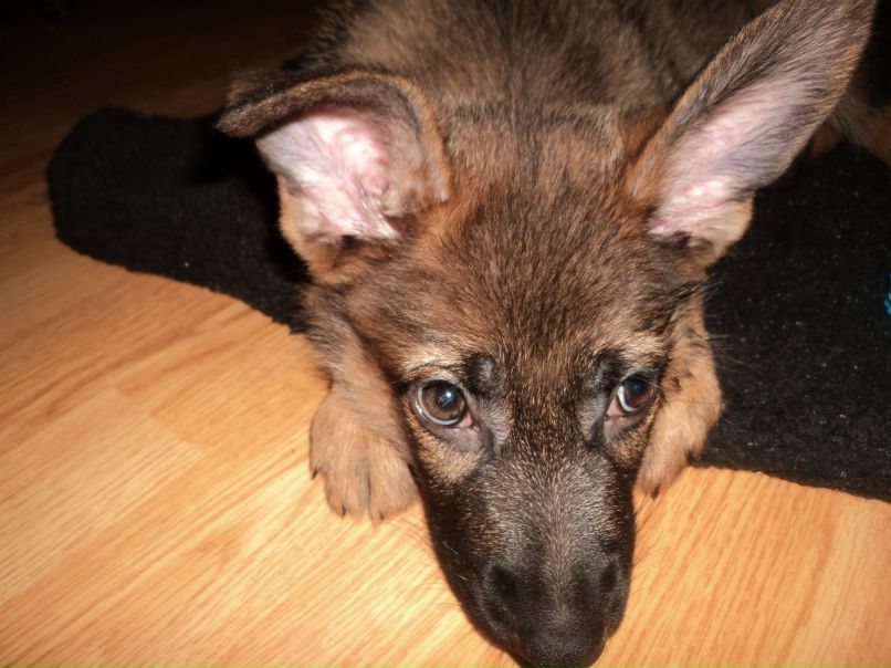 Татьяна Гордова | Рязань