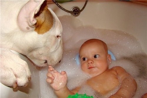 №13, Катя Вышемирская, Одесса №13, Катя Вышемирская, Одесса