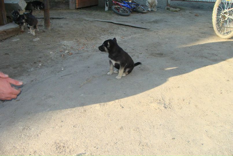 Вова Федус | Тернополь