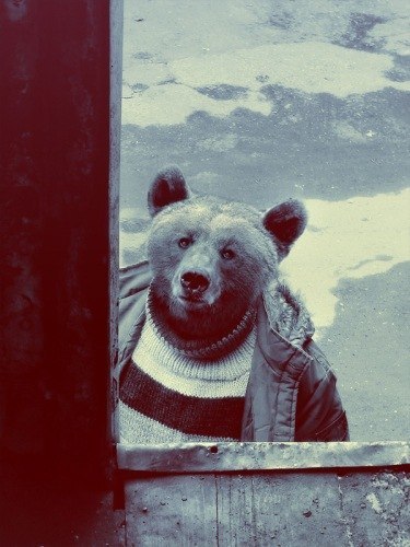 Евгений Алтапов | Междуреченск (поселок)