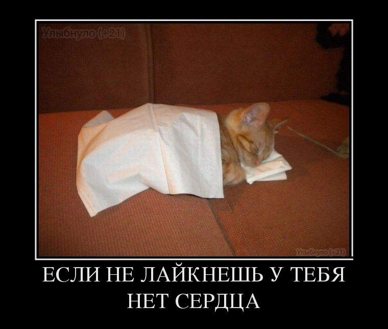 Влад Осаулов | 