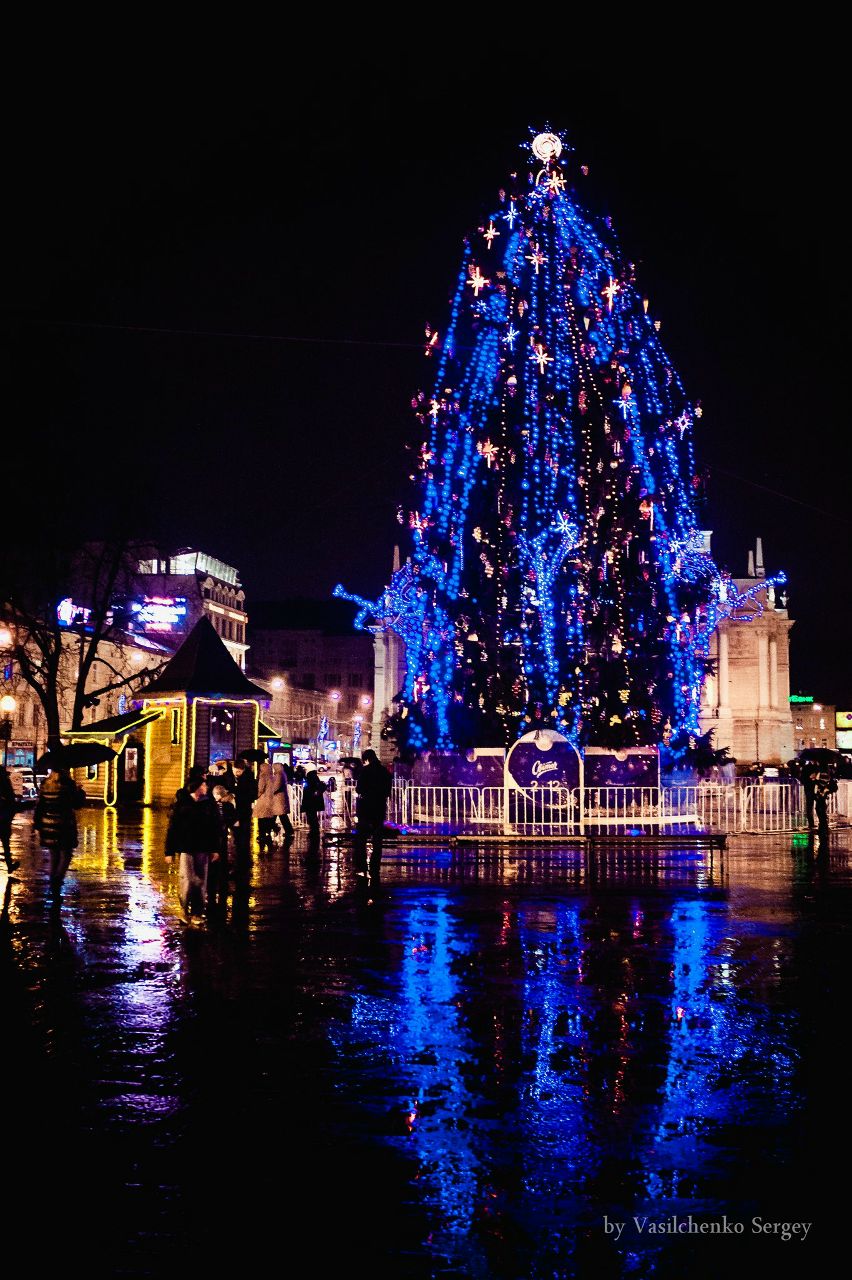 Дарья Васильченко | Таганрог