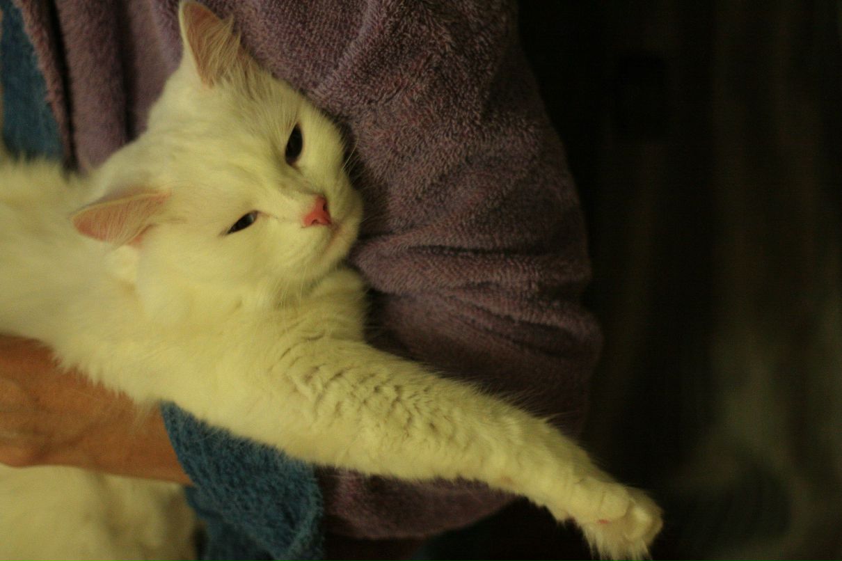 Ирина Штепа | Ростов-на-Дону