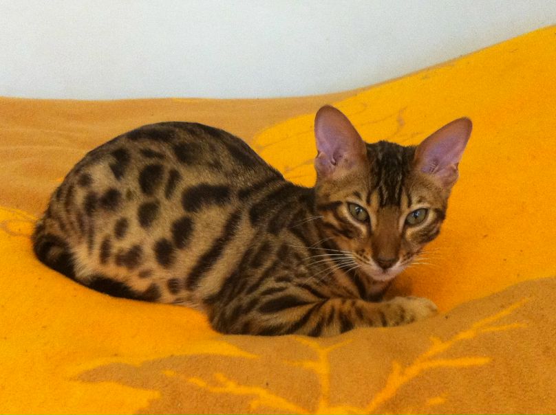 №7, Анастасия Стасенкова, Москва №7, Анастасия Стасенкова, Москва