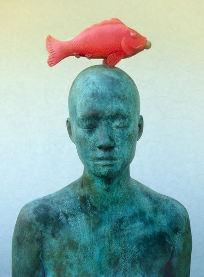 №51, Елена Старкова №51, Елена Старкова