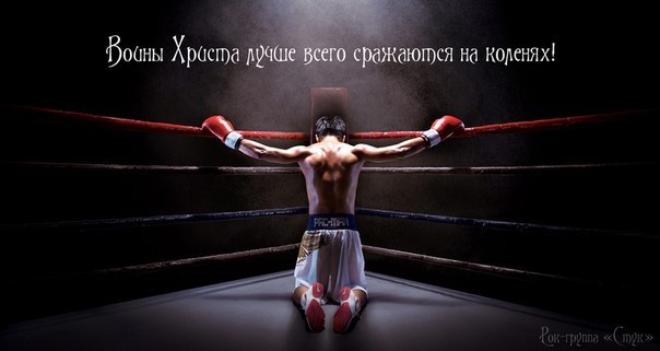 Виктория Кошель | 