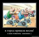 Фотография Александр Литвинов