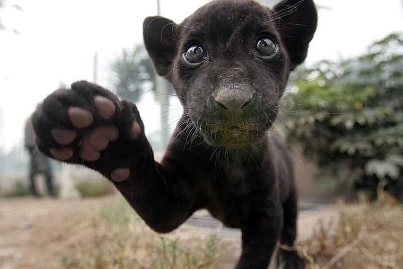 Andrew Anyfriev | Москва