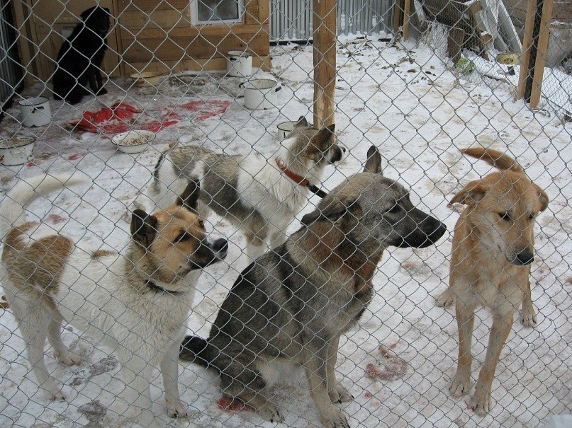 Юлия Копосова | Вологда