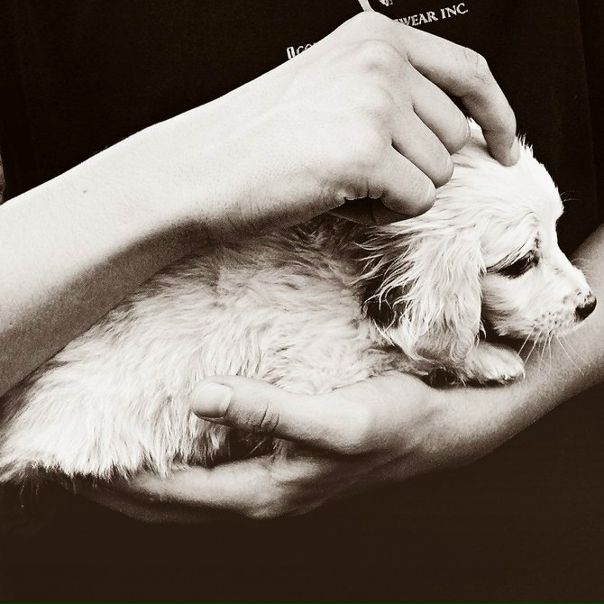 №17, Kate Dibaeva, Киев №17, Kate Dibaeva, Киев