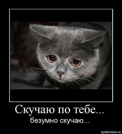 Ленар Хакимьянов | Новосибирск