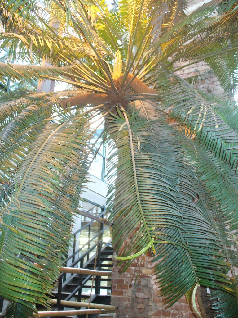 Татьяна Голубева | Москва