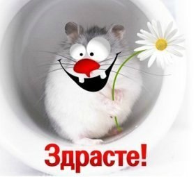 №94, Ольга Кушнир, Одесса №94, Ольга Кушнир, Одесса
