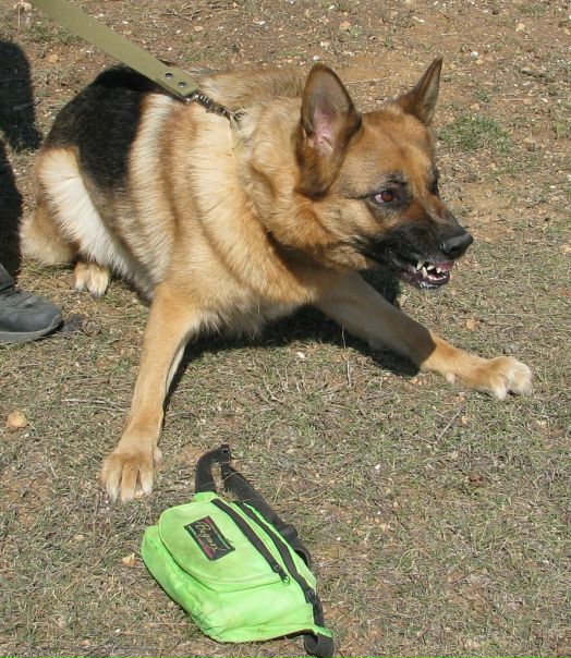 №93, Руслан Гордеев, Львов №93, Руслан Гордеев, Львов