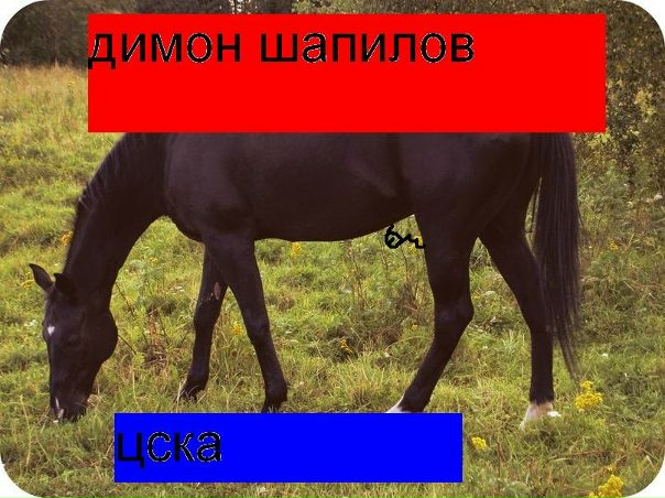 №127, Михаил Киселёв, Вологда №127, Михаил Киселёв, Вологда