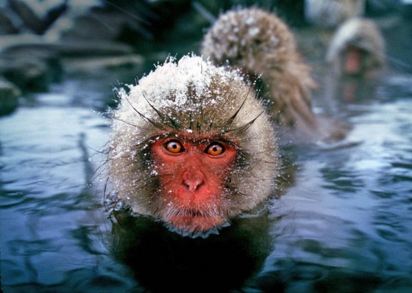 Мария Бабенко | Днепр (Днепропетровск)