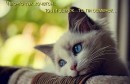 Фотография Ивановой Марины