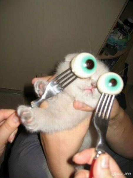 №44, Михаил Гранкин, 37 лет, Мариуполь №44, Михаил Гранкин, 37 лет, Мариуполь