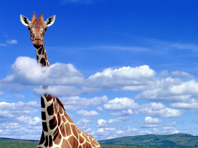 Валерия Шамро | Уфа