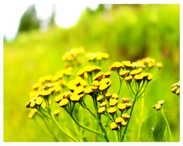 №13, Bilguun Erdenebat, Ulaanbaatar №13, Bilguun Erdenebat, Ulaanbaatar