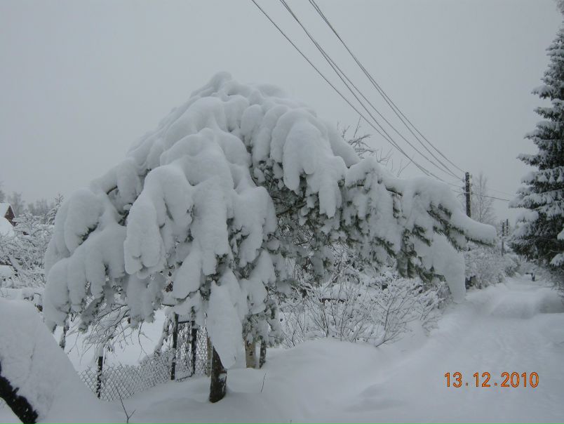№10, Александра Усачёва, 68 лет, Санкт-Петербург №10, Александра Усачёва, 68 лет, Санкт-Петербург