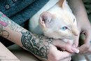 №22 Манька Мишарина