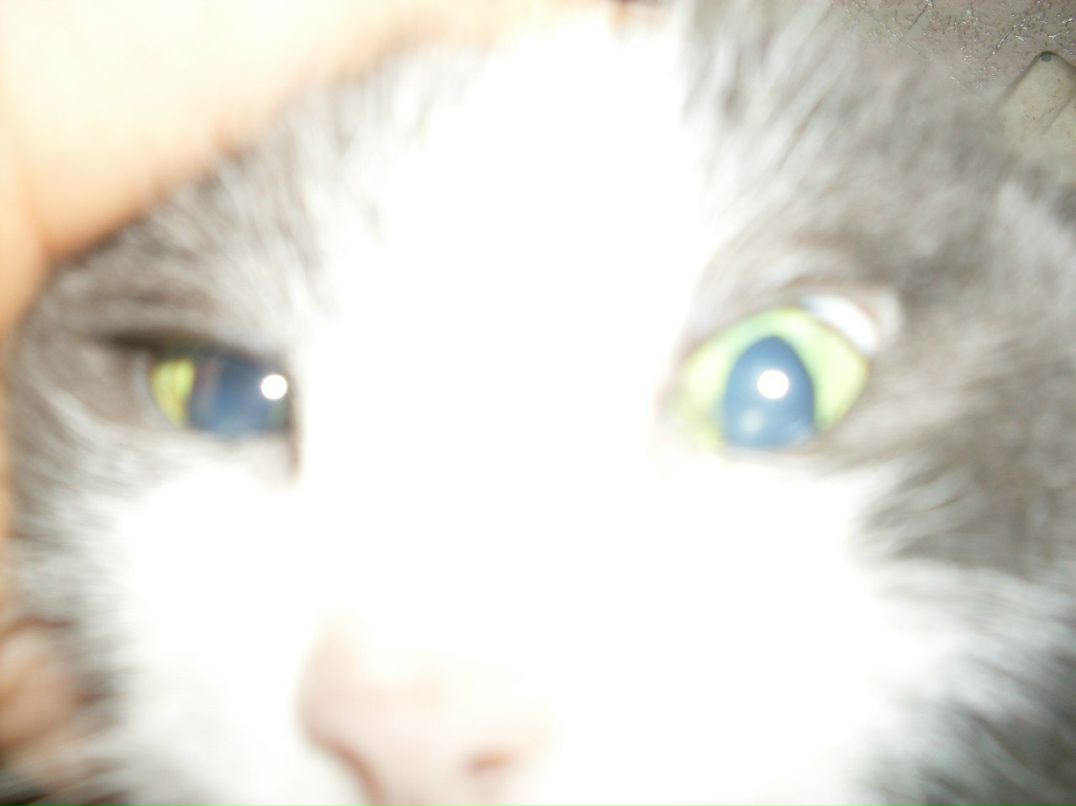 Наталья Иванова | Уфа