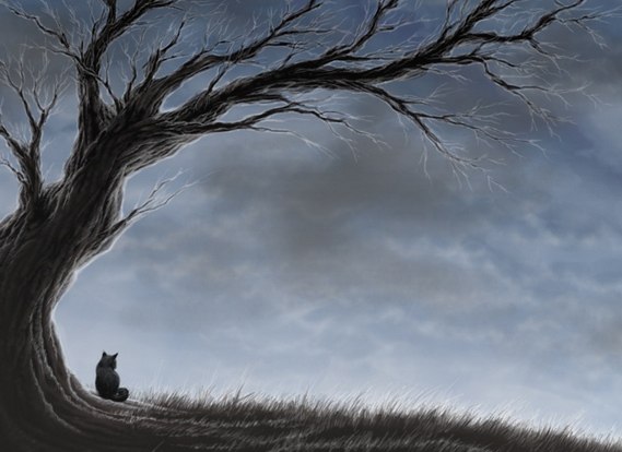 Александра Грешилова | Омск