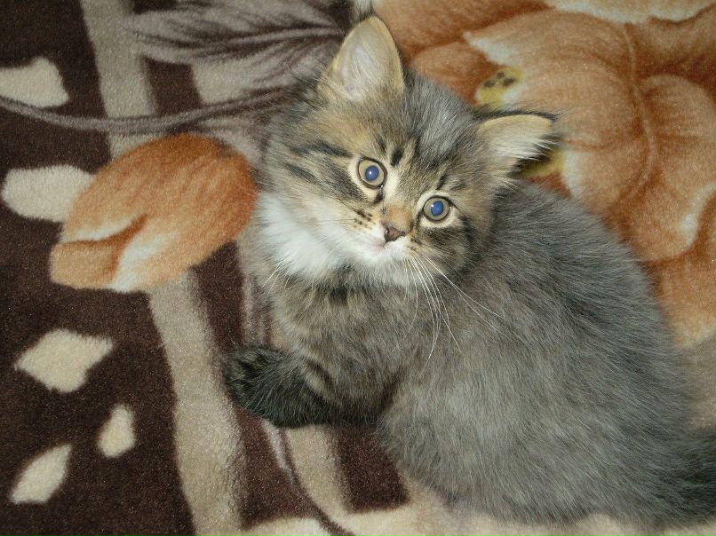 Люда Зелинская | Херсон