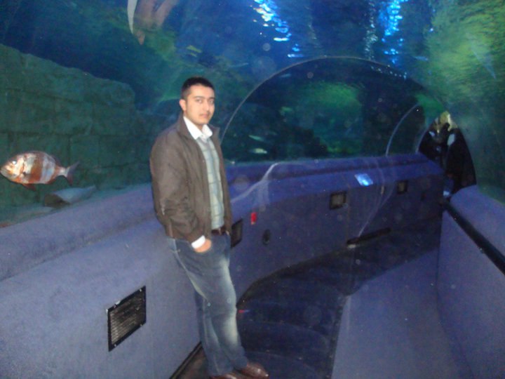 Semo Allahverdiyev | İstanbul