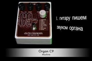 EHX C9 + DITTO LOOPER