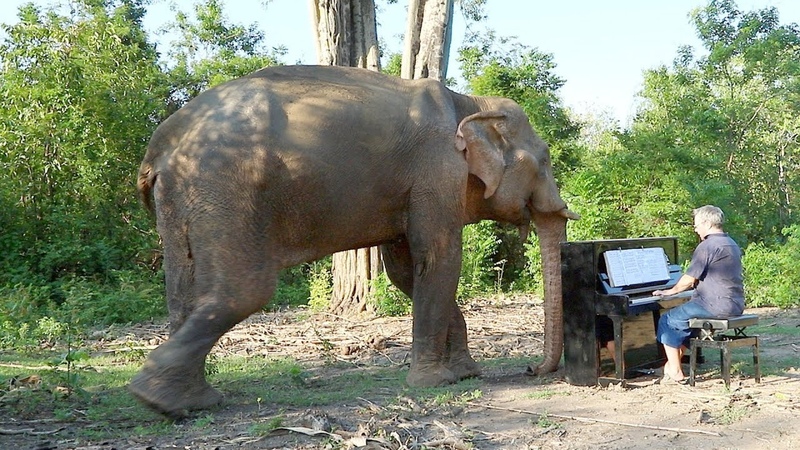 Me ditation de Thai s on Piano for Chaichana, Bull