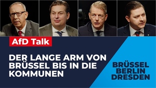 Der lange Arm von Brüssel bis in die Kommunen | BRÜSSEL - BERLIN - DRESDEN | AfD Talk