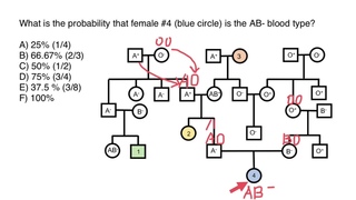 ABO blood group Probability Calculations