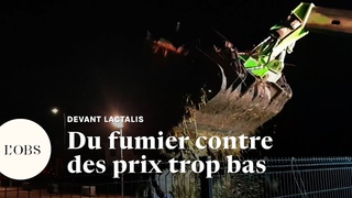 Des agriculteurs en colère déversent du fumier devant un site Lactalis