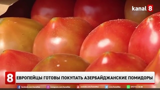 Европейцы готовы покупать азербайджанские помидоры