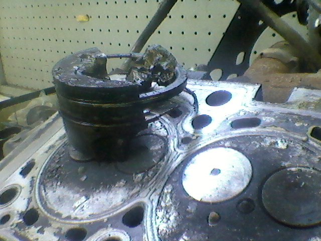 Дмитрий Котляр | Тюмень