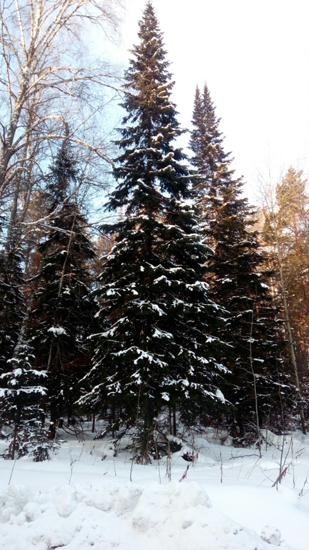 Сергей Кремер | Красноярск