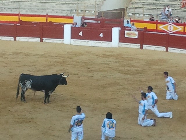 Bolkha Badmaeva | Murcia